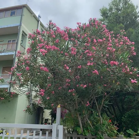 Bilocale Vicino Al Mare Apartment Falerna